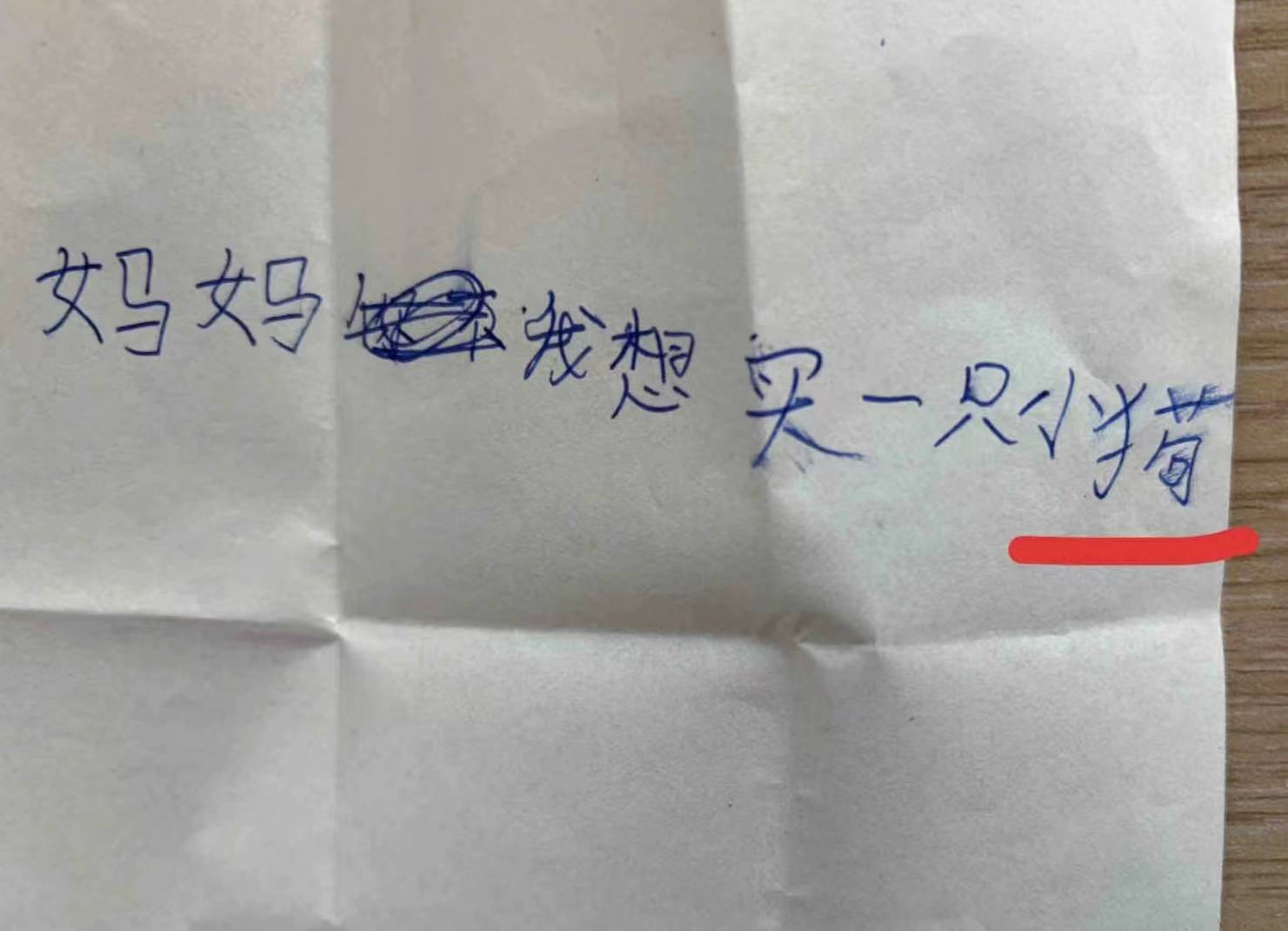 妈妈，我想要一只小狗.jpg