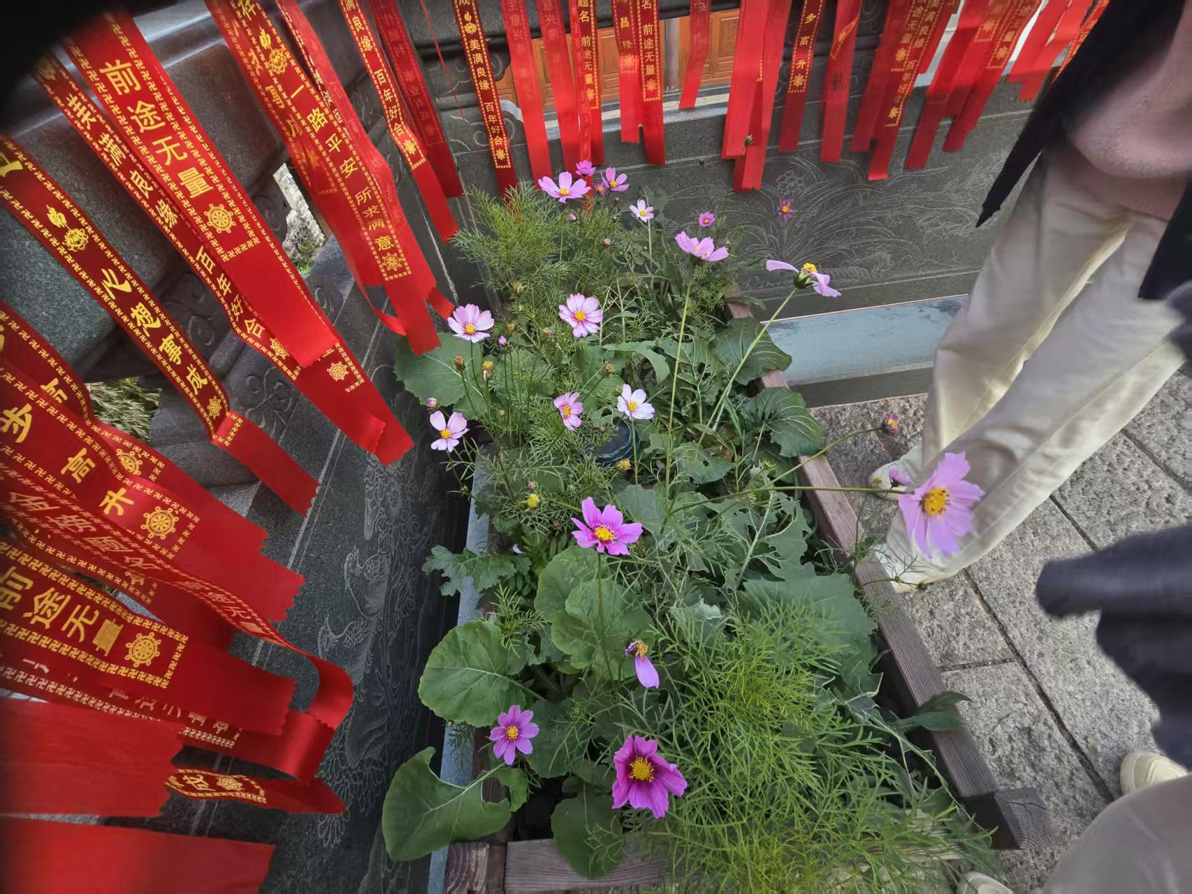 许个愿吧