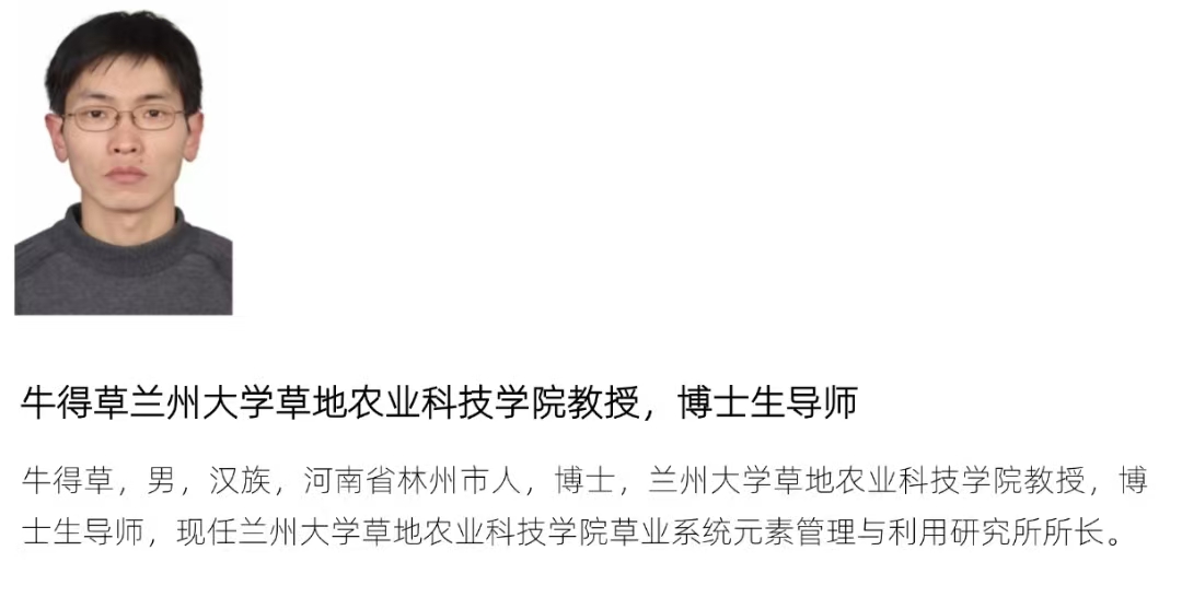 您好
