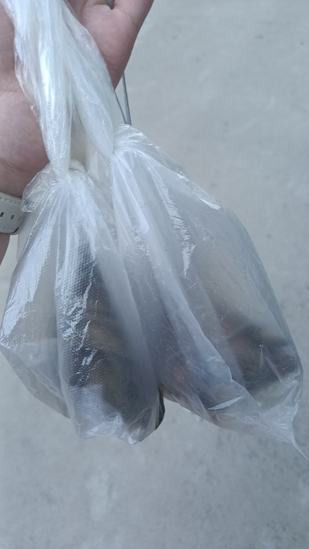 同学妈妈邮的肉粽 同学妈妈邮的肉粽