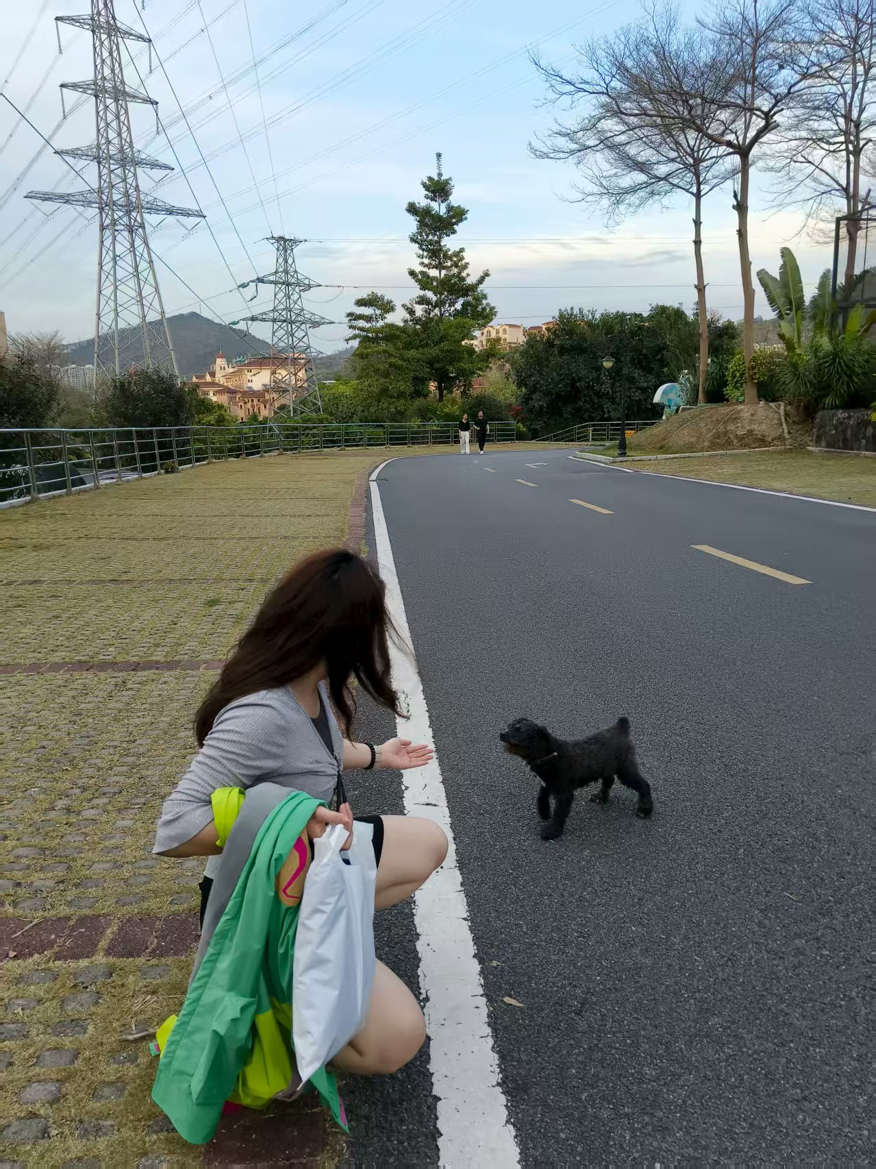 你好小狗